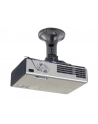 NewStar Uchwyt Sufitowy do Projektora BEAMER-C50 - nr 47