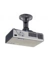 NewStar Uchwyt Sufitowy do Projektora BEAMER-C50 - nr 24