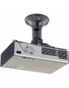 NewStar Uchwyt Sufitowy do Projektora BEAMER-C50 - nr 34