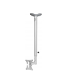 NewStar Uchwyt Sufitowy FPMA-C050SILVER - nr 12