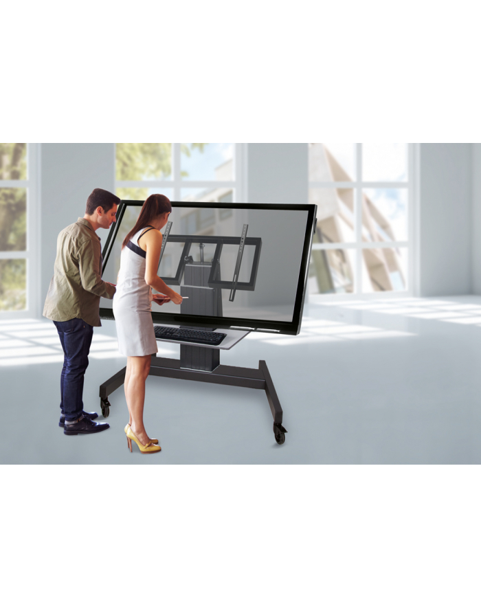 NewStar Stojak Mobilny, Wózek LED/LCD(pochył do 90st.)-VESA 200x200up to 800x601 główny