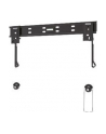 NewStar Ścienny Uchwyt do Monitora PLASMA-W840 - nr 28