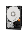 Dysk HDD Western Digital Purple WD10PURZ ( HDD 1TB ; 3.5  ; SATA III ; 64 MB ; 5400 obr/min ) - nr 37