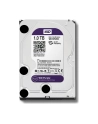 Dysk HDD Western Digital Purple WD10PURZ ( HDD 1TB ; 3.5  ; SATA III ; 64 MB ; 5400 obr/min ) - nr 41