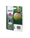 Tusz Epson T1293 (do drukarki Epson  oryginał C13T12934012 378str. magenta) - nr 11