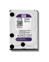Dysk HDD Western Digital Purple WD10PURZ ( HDD 1TB ; 3.5  ; SATA III ; 64 MB ; 5400 obr/min ) - nr 32