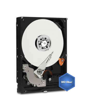 Dysk HDD Western Digital Blue WD5000AZRZ ( HDD 500GB ; 3.5  ; SATA III ; 64 MB ; 5400 obr/min )