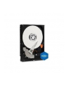 Dysk HDD Western Digital Blue WD5000AZRZ ( HDD 500GB ; 3.5  ; SATA III ; 64 MB ; 5400 obr/min ) - nr 6