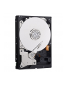 HDD WD CAVIAR 1TB WD10EZEX SATA III 64MB RECERTYFIKOWANE - nr 12