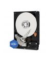HDD WD CAVIAR 1TB WD10EZEX SATA III 64MB RECERTYFIKOWANE - nr 19