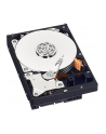 HDD WD CAVIAR 1TB WD10EZEX SATA III 64MB RECERTYFIKOWANE - nr 21