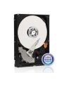 HDD WD CAVIAR 1TB WD10EZEX SATA III 64MB RECERTYFIKOWANE - nr 26