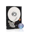 HDD WD CAVIAR 1TB WD10EZEX SATA III 64MB RECERTYFIKOWANE - nr 28