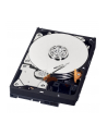 HDD WD CAVIAR 1TB WD10EZEX SATA III 64MB RECERTYFIKOWANE - nr 9