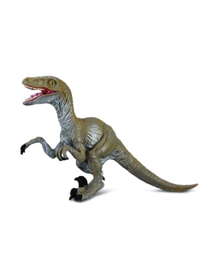 Dinozaur Velociraptor. COLLECTA główny