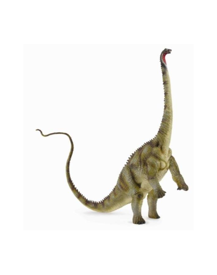 Dinozaur Diplodocus. COLLECTA główny