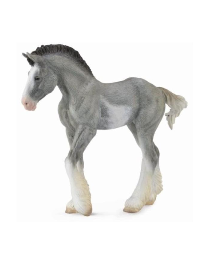 Źrebię Clydesdale foal blue 88626 COLLECTA główny