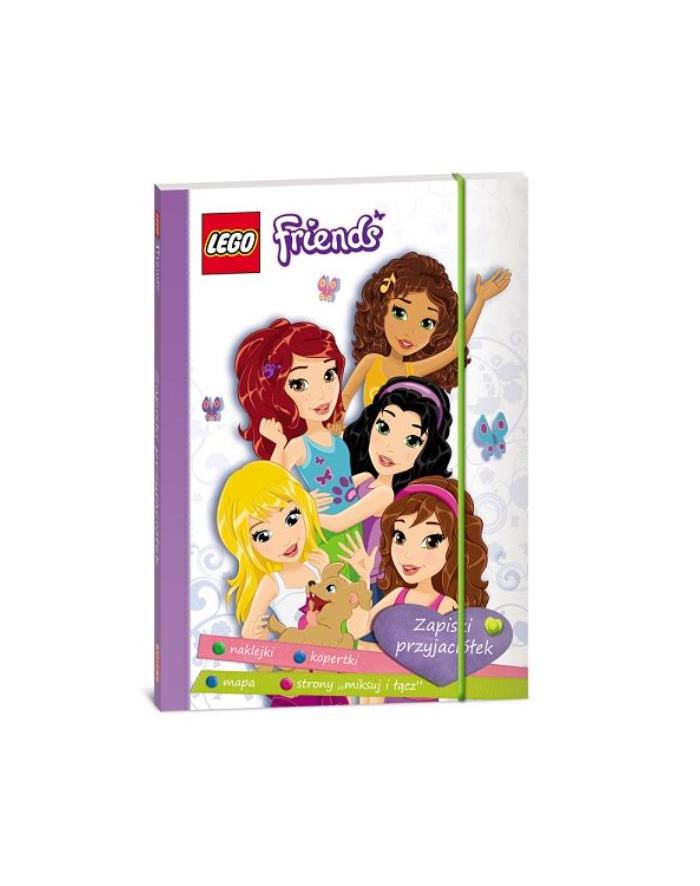 Książ. LEGO Friends LFF-101 AMEET główny