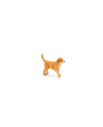Szczenię rasy Golden Retriver 7205 ANIMAL PLANET