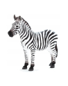 Zebra 7169 ANIMAL PLANET - nr 1
