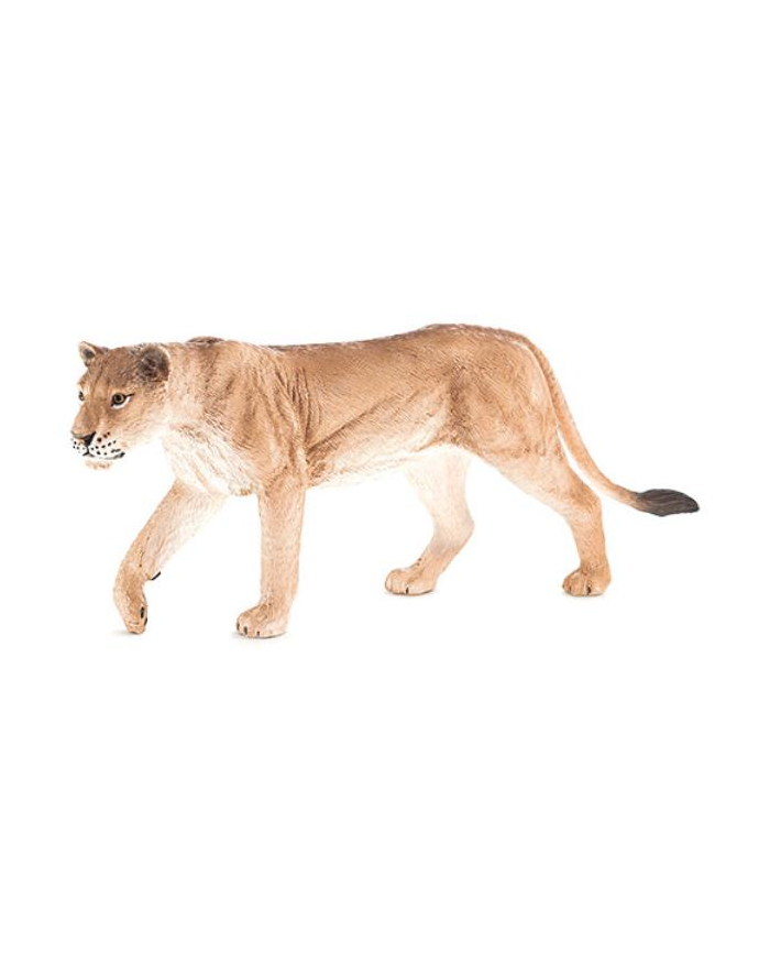 Lwica 7175 ANIMAL PLANET główny