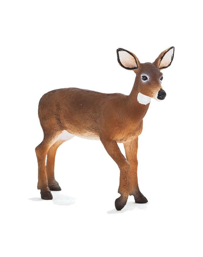 Łania wirginijska 7185 ANIMAL PLANET główny