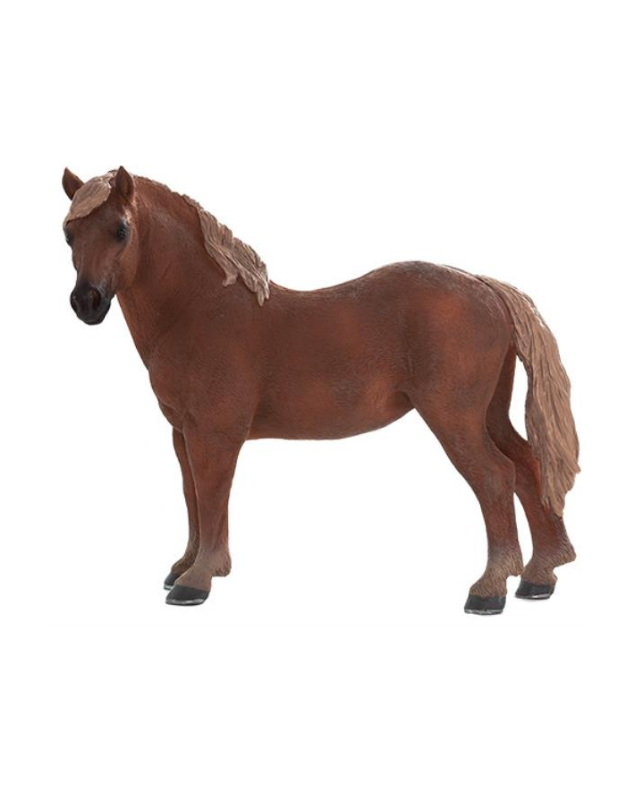 Klacz rasy Suffolk Punch 7195 ANIMAL PLANET główny