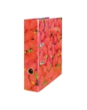 Segregator A4 8cm truskawki max.file herlitz - nr 10