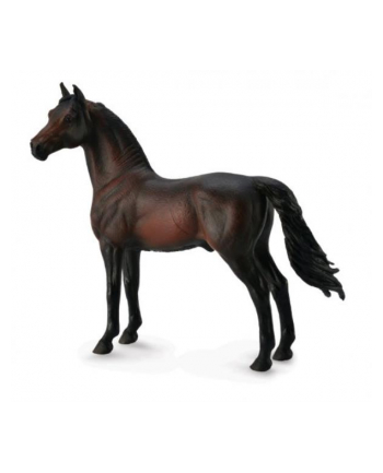 Koń Morgan stallion bay 88646 COLLECTA