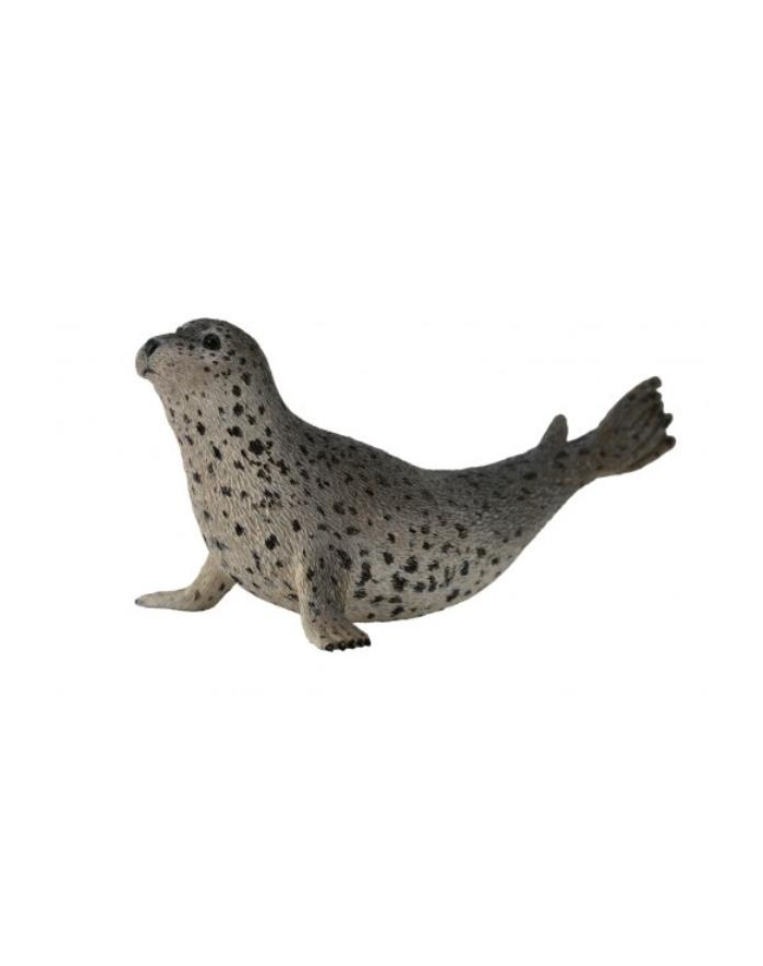 Foka pstra 88658 COLLECTA główny