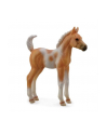 Żrebię Pinto foal palomino 88669 COLLECTA - nr 1