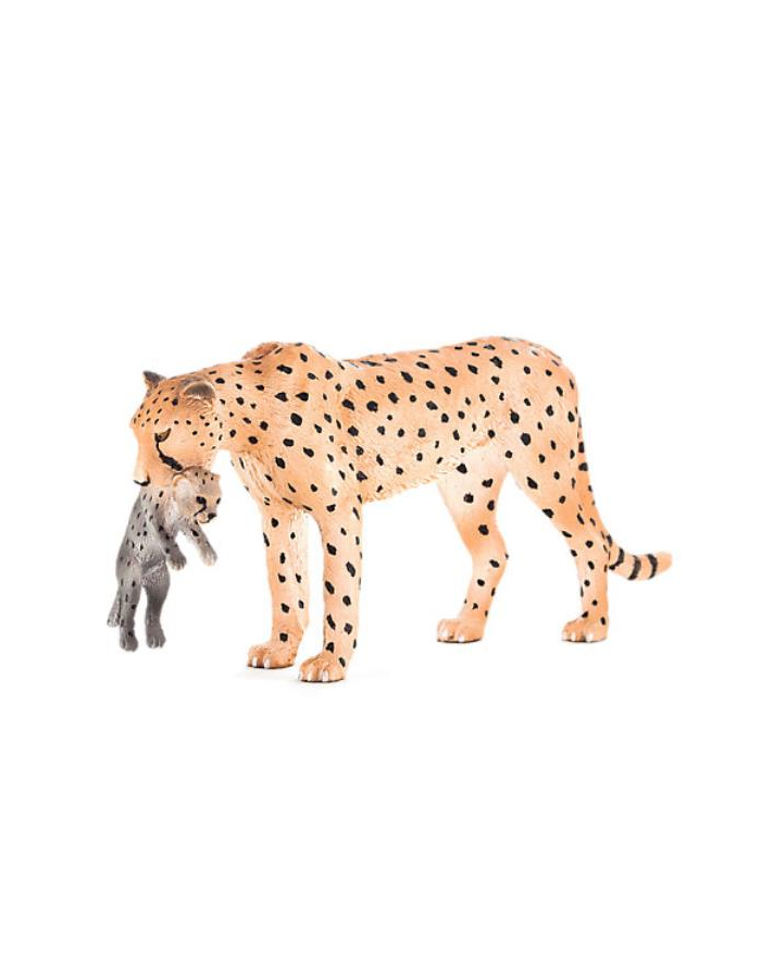 Samica geparda z młodym 7167 ANIMAL PLANET główny