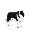 Pies rasy Border Collie 7203 ANIMAL PLANET - nr 1