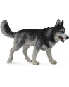 Pies rasy Siberian Husky 88707 COLLECTA - nr 1