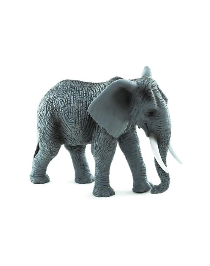 Słoń afrykański 7189 ANIMAL PLANET główny