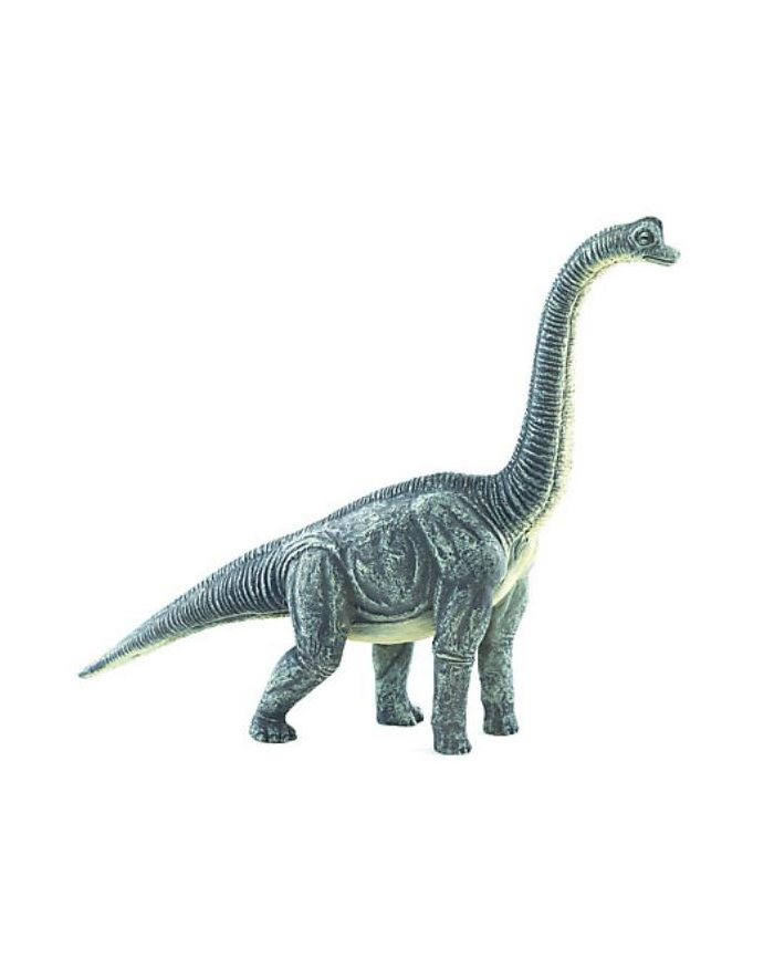 Brachiozeur 7212 ANIMAL PLANET główny