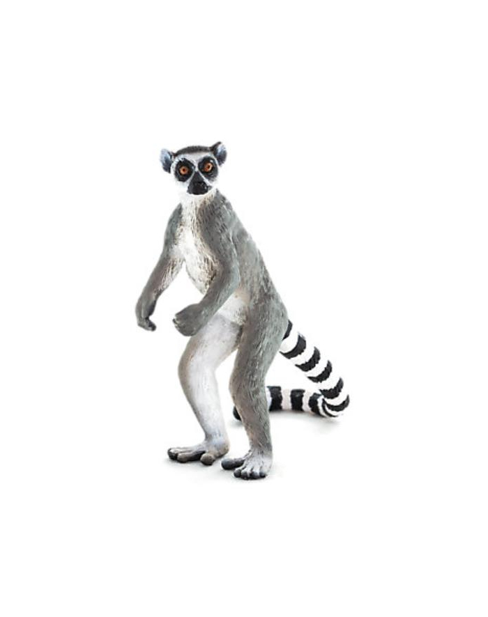 Lemur katta 7177 ANIMAL PLANET główny