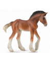 Żrebię Clydesdale bay. COLLECTA - nr 1