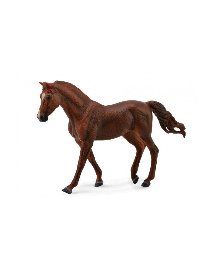 Koń Missouri trotte mare chesnut 88663 COLLECTA główny