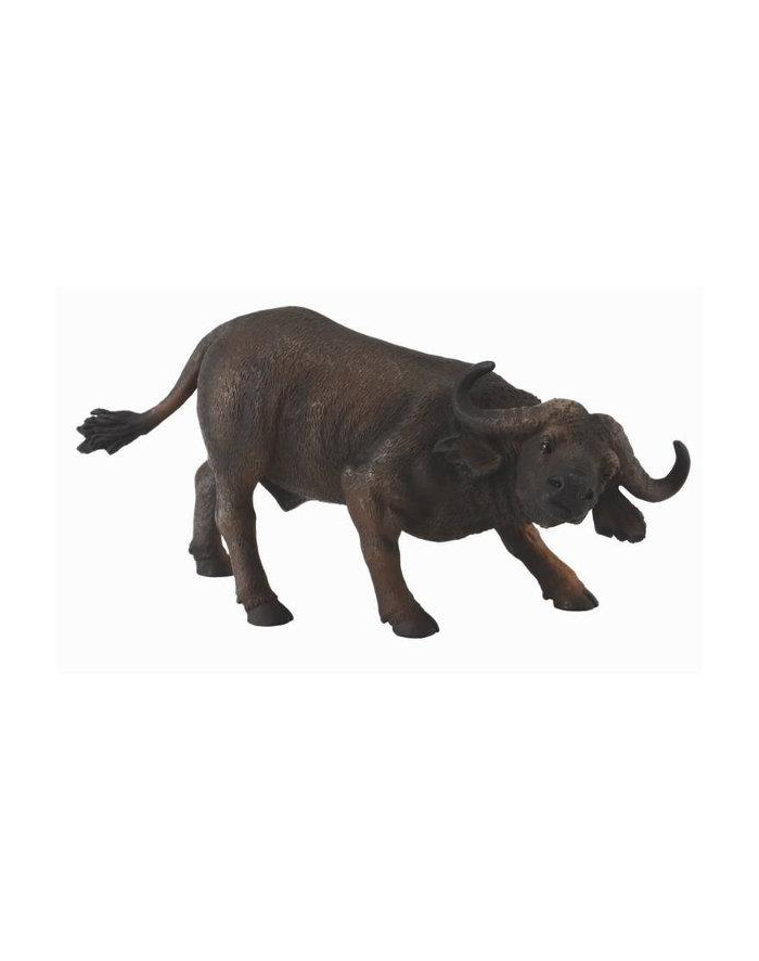 Bawół afrykański 88398 COLLECTA główny
