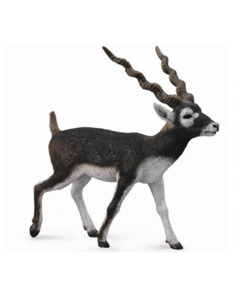 Antylopa Blackbuck 88638 COLLECTA