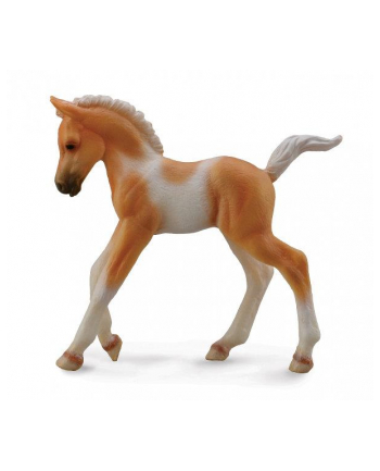 Źrebię Pinto foal walking palomino 88668 COLLECTA