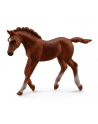 Źrebię Thoroughbred foal walking 88670 COLLECTA - nr 1