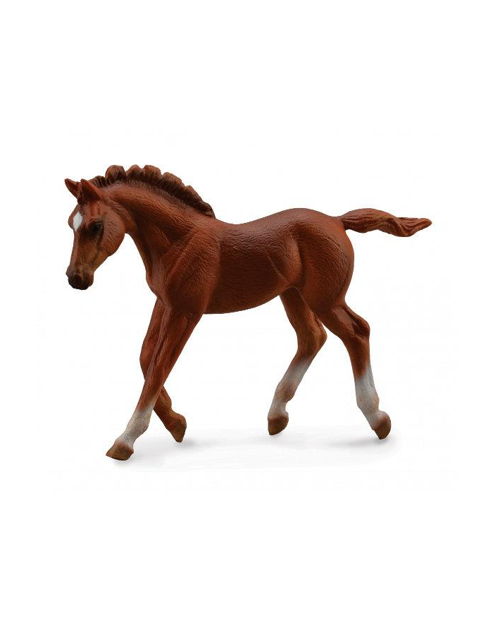 Źrebię Thoroughbred foal walking 88670 COLLECTA główny