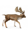 Jeleń daniel samiec 88685 COLLECTA - nr 1