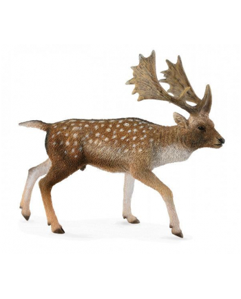 Jeleń daniel samiec 88685 COLLECTA