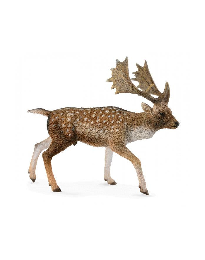 Jeleń daniel samiec 88685 COLLECTA główny