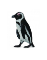 Pingwin przylądkowy 88710 COLLECTA - nr 1