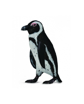 Pingwin przylądkowy 88710 COLLECTA