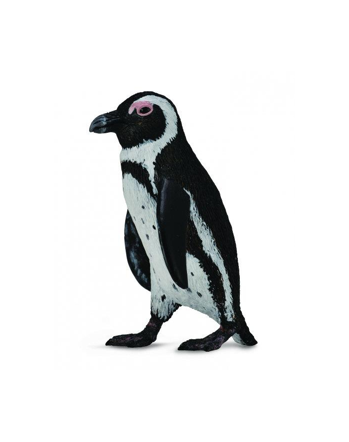 Pingwin przylądkowy 88710 COLLECTA główny